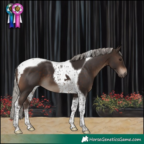Horse Color:Silver Brown Tobiano