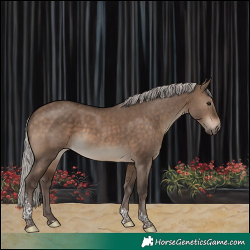 Horse Color:Silver Brown Dun Tobiano