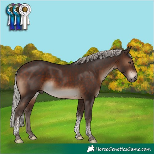 Horse Color:Silver Brown Tobiano 