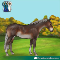Horse Color:Silver Brown Tobiano 