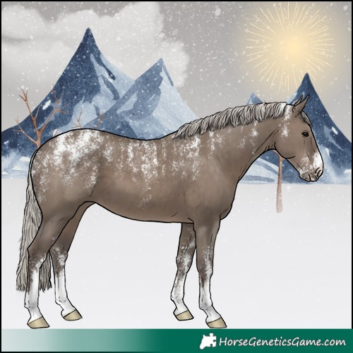 Horse Color:Powder White Silver Grullo 
