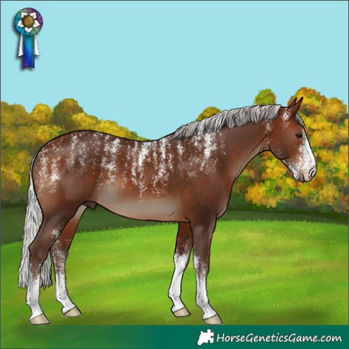 Horse Color:Powder White Silver Brown 