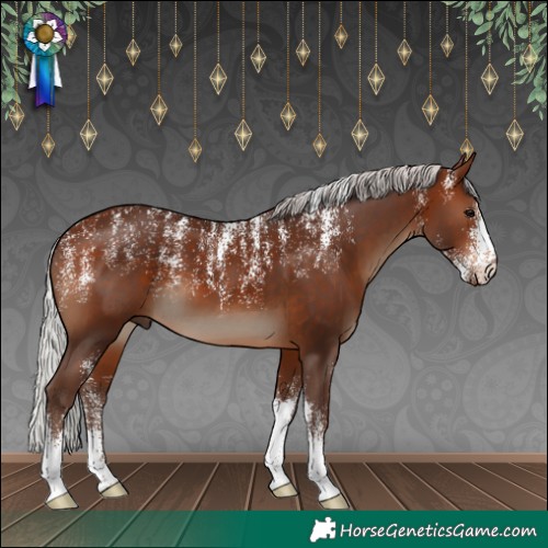 Horse Color:Powder White Silver Brown