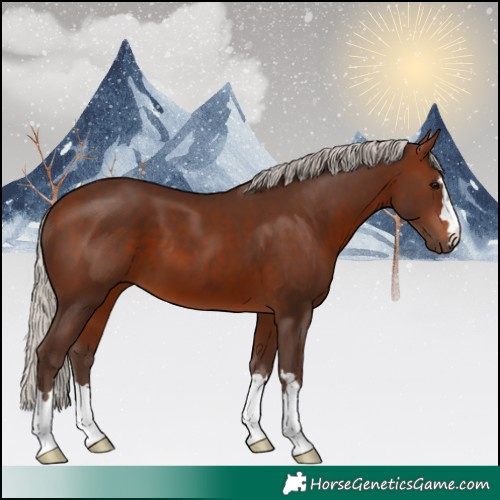 Horse Color:Silver Brown 