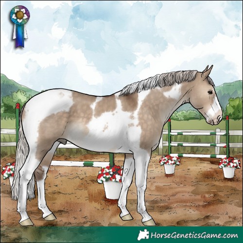 Horse Color:Silver Brown Dun Tobiano Frame