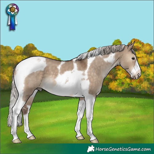 Horse Color:Silver Brown Dun Tobiano Frame 
