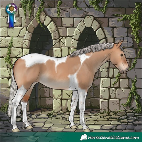 Horse Color:Silver Bay Dun Tobiano