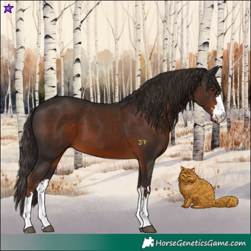 Horse Color:Liver Chestnut