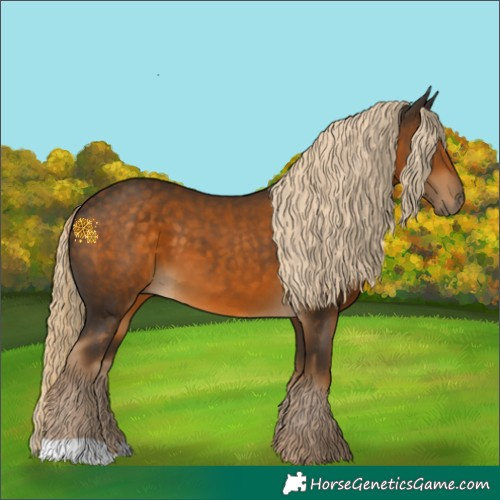 Horse Color:Chocolate Palomino 