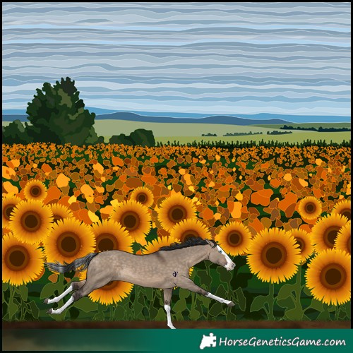 Horse Color:Brown Dun Splash