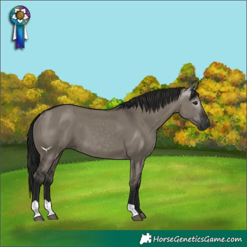 Horse Color:Gray Grullo