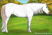 Horse Color:Smoky Grullo Splash Blanket Rabicano
