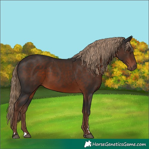 Horse Color:Liver Chestnut