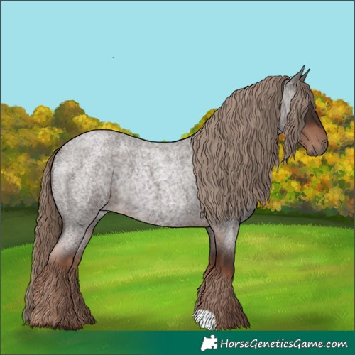 Horse Color:Liver Red Roan Rabicano