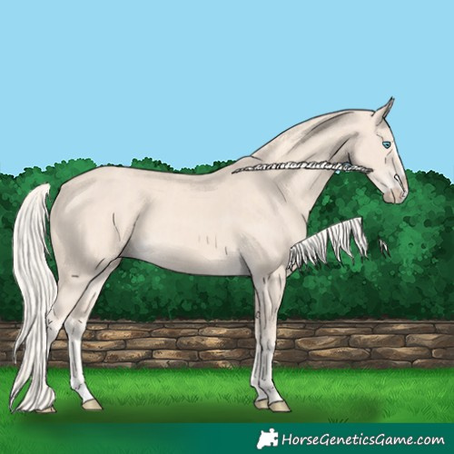 Horse Color:Cremello Splash  and Cremello Splash 