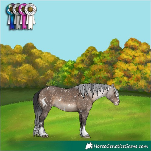 Horse Color:White Spotted Brown Dun Sabino Snowflake Varnish 