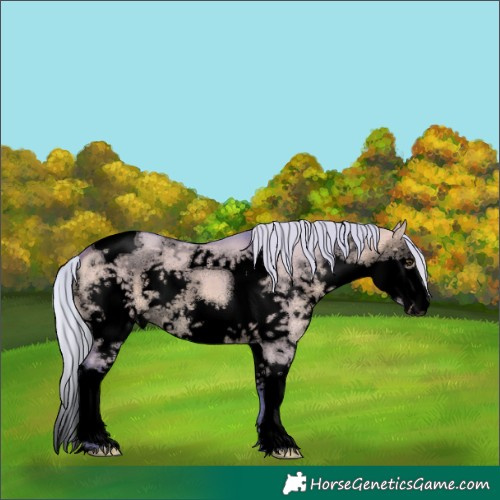 Horse Color:Void Watercolor Silver Brown Dun Splash Tobiano 