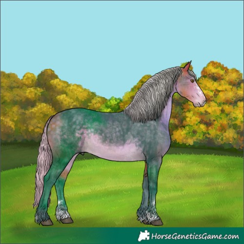 Horse Color:Watercolor Silver Buckskin Sabino Rabicano 