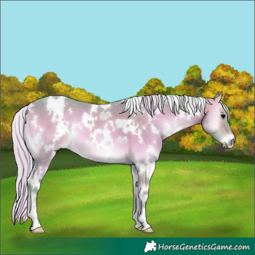 Horse Color:Watercolor White Spotted Silver Brown Onyx 
