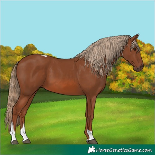 Horse Color:Chestnut Tobiano 