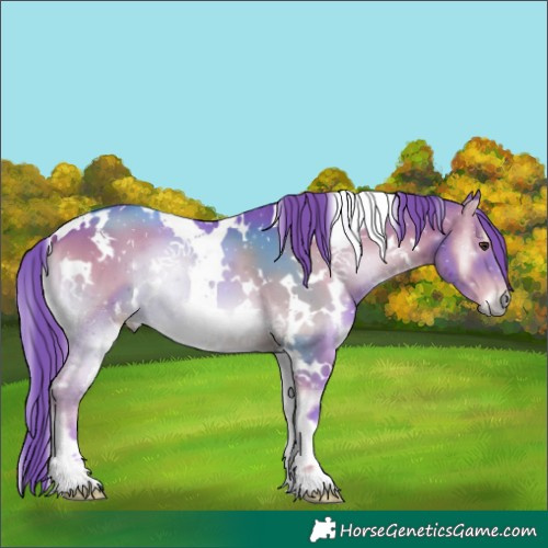 Horse Color:Watercolor White Spotted Liver Red Onyx 