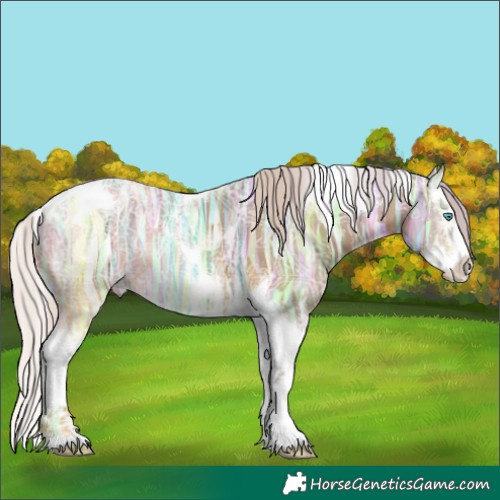 Horse Color:Silver Brown Ice Dun Splash Tobiano 