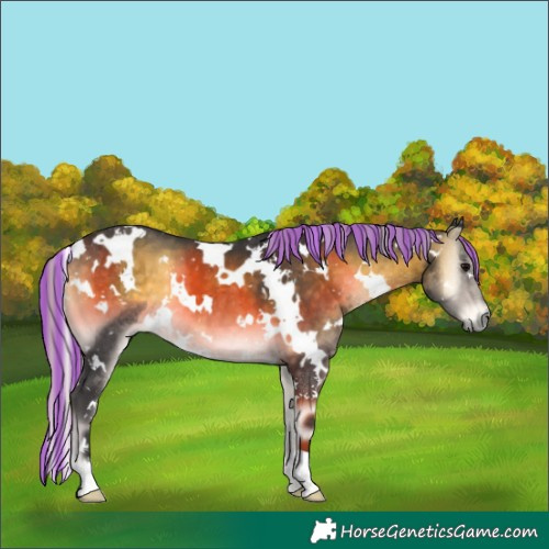 Horse Color:Painted White Spotted Silver Buckskin Onyx 