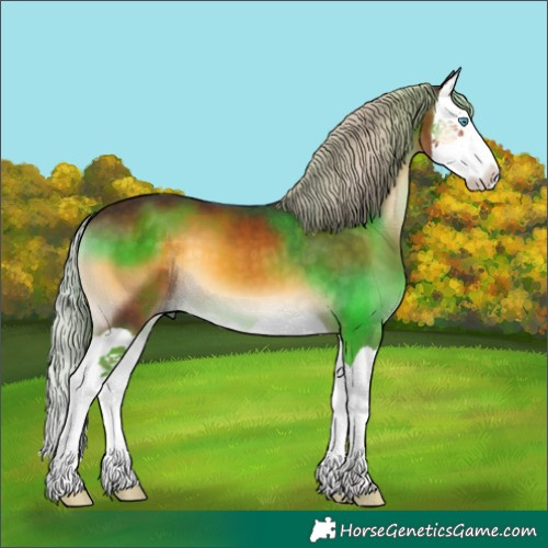 Horse Color:Chocolate Palomino Onyx Splash 