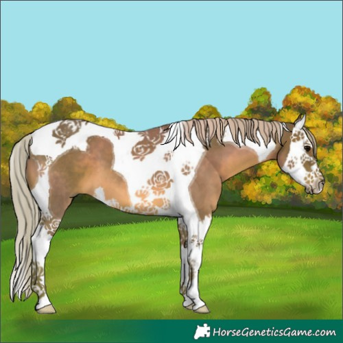 Horse Color:Silver Black Splash Tobiano