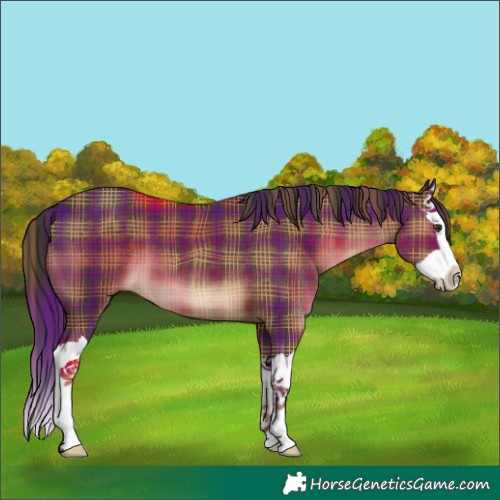 Horse Color:Plaid Liver Chestnut Splash