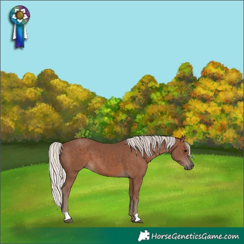 Horse Color:Silver Black 