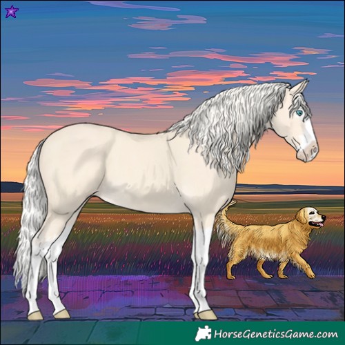 Horse Color:Cremello Splash and Cremello Splash