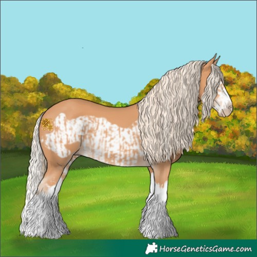 Horse Color:Gray Cremello Splash and Gray Cremello Splash Frame