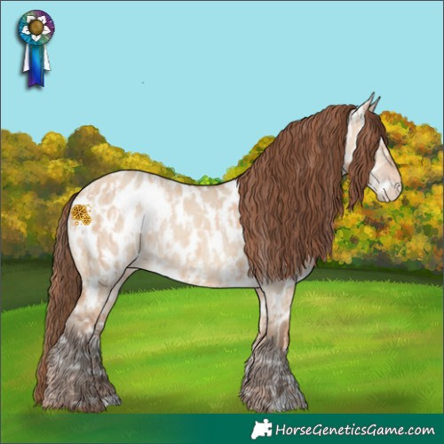 Horse Color:Gold Champagne Dun Appaloosa Rabicano and Amber Champagne Dun Appaloosa Rabicano