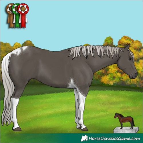 Horse Color:Silver Black Tobiano