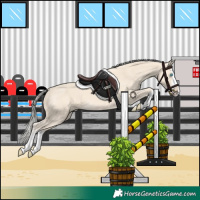 Horse Color:Cremello Splash  and Cremello Splash 