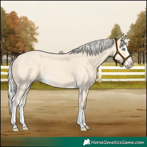 Horse Color:Cremello Splash  and Cremello Splash 