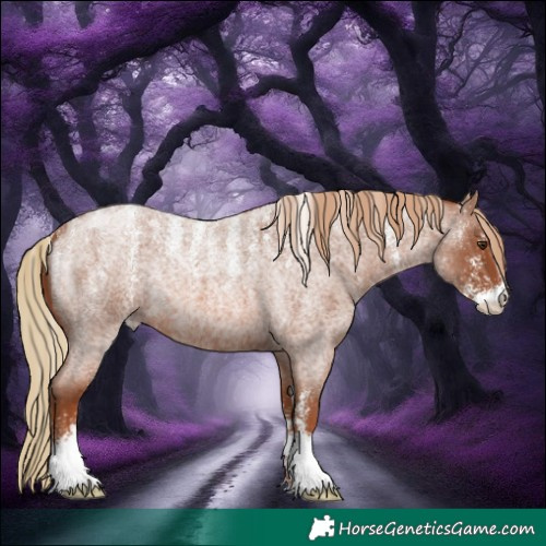 Horse Color:Powder White Red Roan
