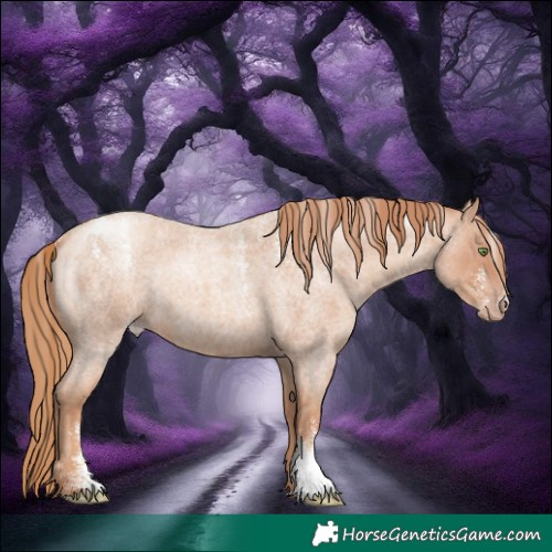Horse Color:Powder White Gold Champagne Roan