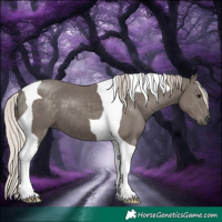Horse Color:Silver Black Tobiano