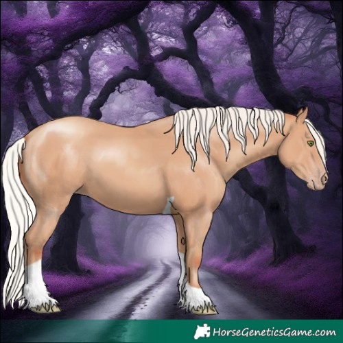 Horse Color:Silver Classic Champagne Tobiano
