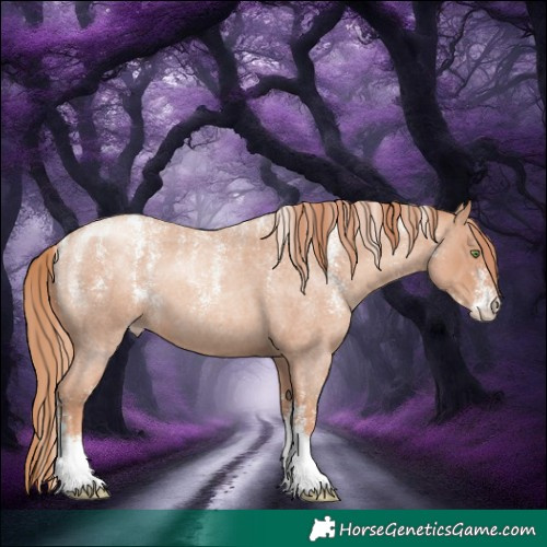 Horse Color:Powder White Gold Champagne Roan