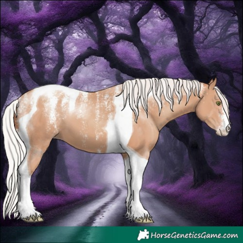 Horse Color:Powder White Silver Classic Champagne Tobiano 