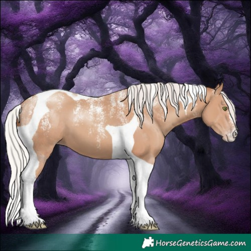 Horse Color:Powder White Silver Classic Champagne Tobiano