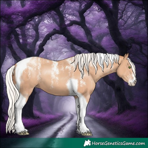 Horse Color:Powder White Silver Classic Champagne Tobiano 