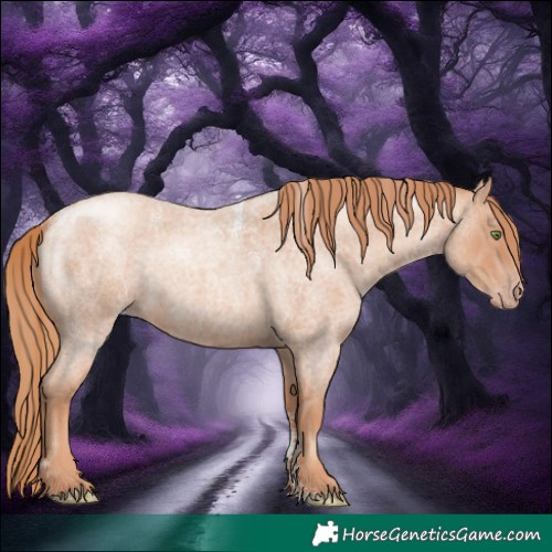 Horse Color:Powder White Gold Champagne Roan