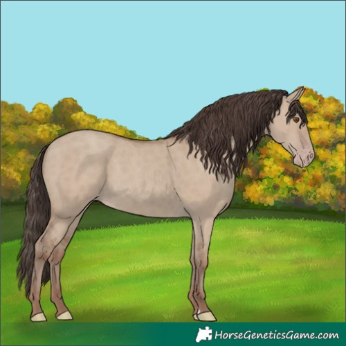 Horse Color:Classic Champagne Dun 