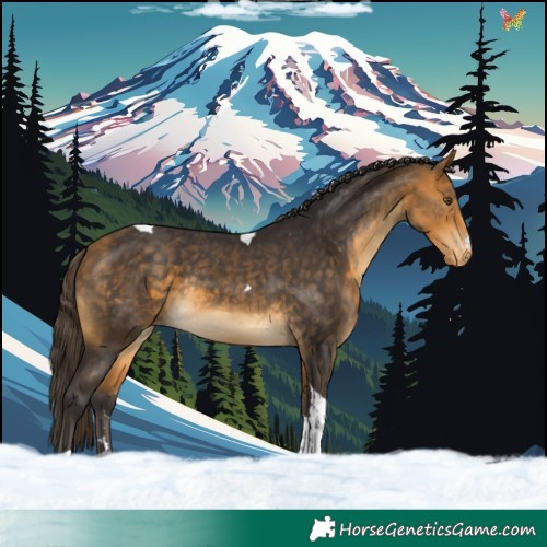 Horse Color:Buckskin Tobiano Appaloosa Rabicano 