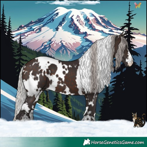 Horse Color:White Spotted Silver Brown