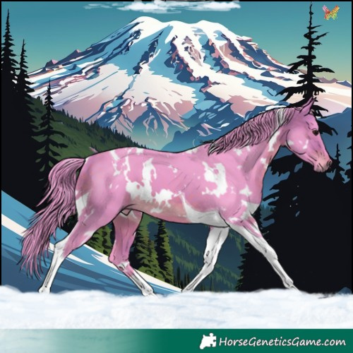 Horse Color:Watercolor White Spotted Brown Tobiano